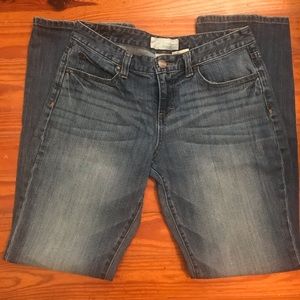 Maurices Taylor bootcut jeans